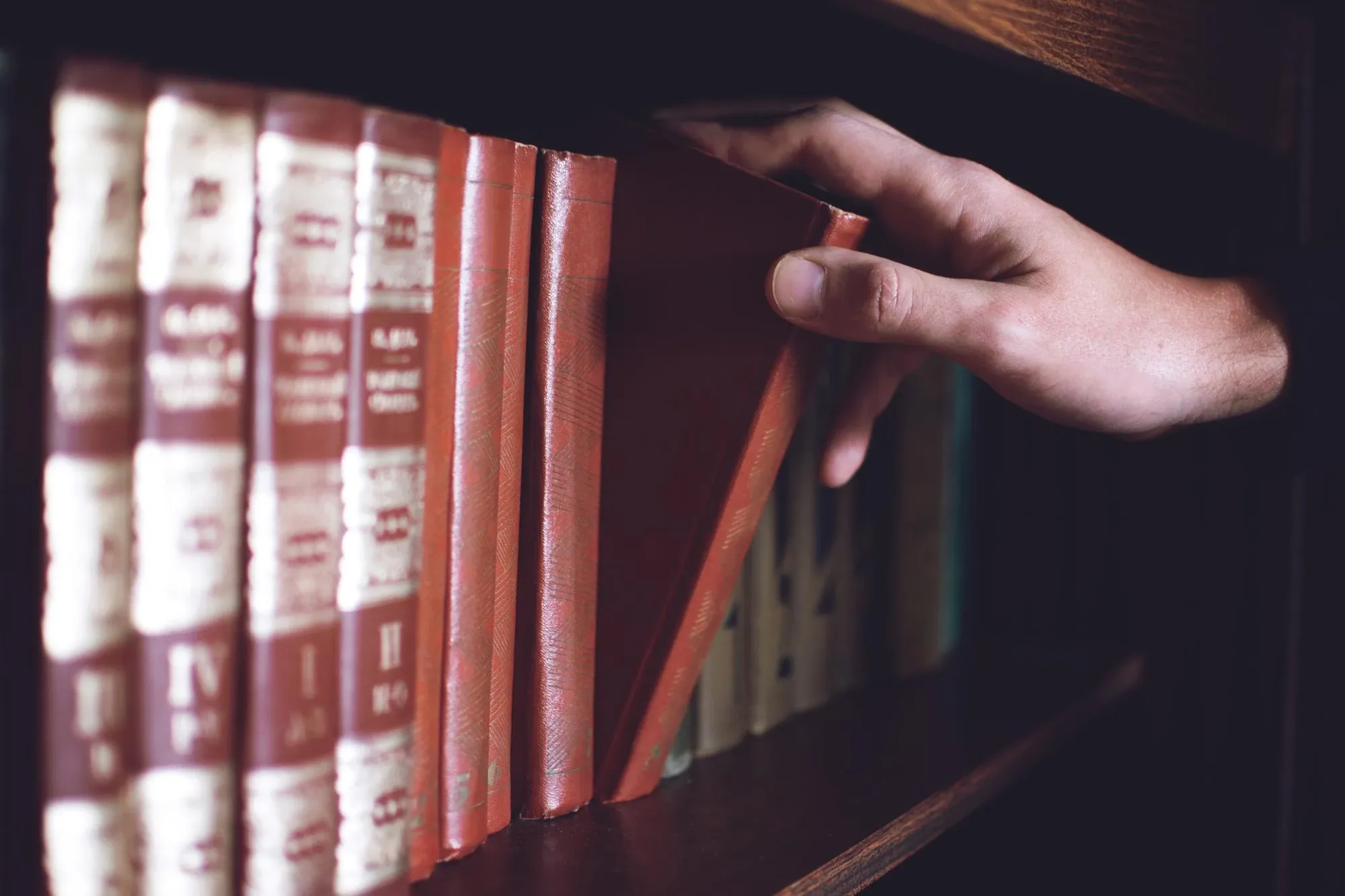 A gazdasági társaságok fogalma és formái