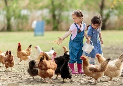 Eddig nem látott mértékű vidékfejlesztés indul