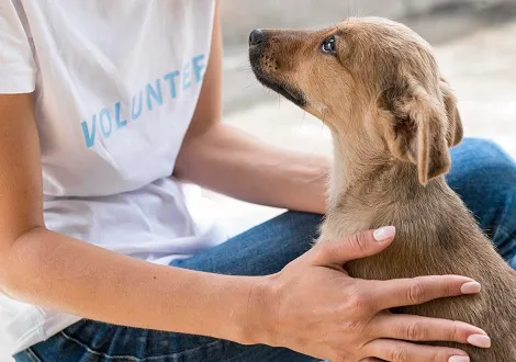 Nonprofit cégalapítás